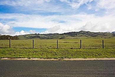 牧场物语系列全新游戏曝光 可使用滑翔翼