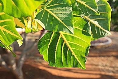 腾讯：竞技对战游戏是基本盘要守住 不能被二次元等动摇